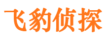 市中区婚外情调查取证